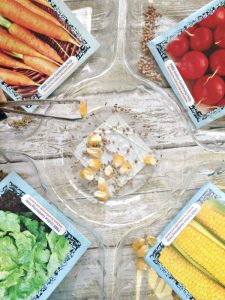 Seed Sorting Sensory Activity for Kids Tutorial