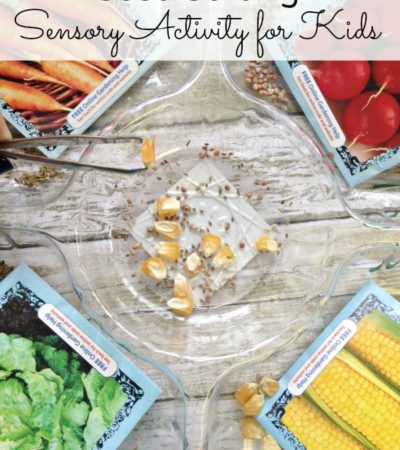 Seed Sorting Sensory Activity for Kids- Seeds are great for exploring sensory and fine motor skills. Put them to use in this fun sorting activity for kids.