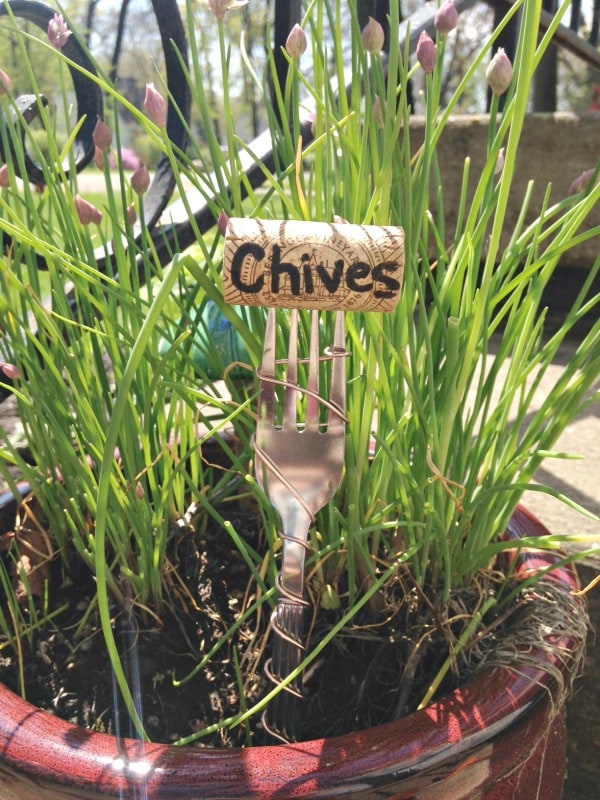 DIY Wire Wrapped Wine Cork Garden Markers- marker in plant