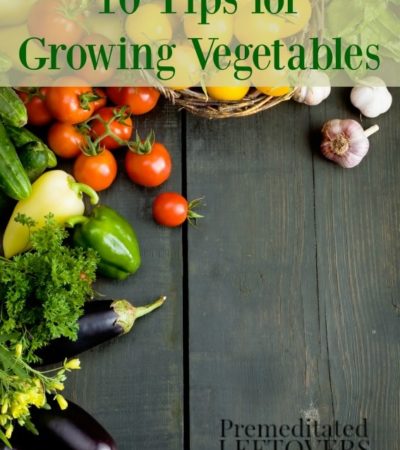 10 Tips for Growing Vegetables- You can grow and enjoy your own vegetables with a little planning and good maintenance. These tips will show you how!