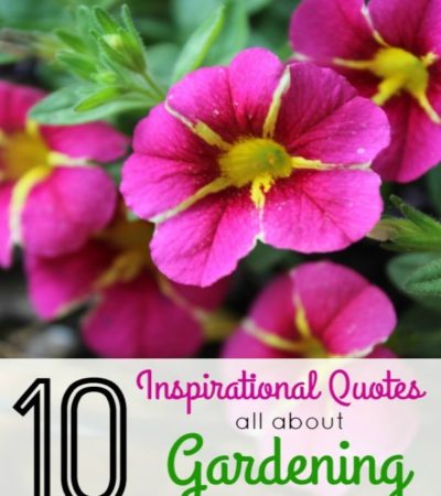 10 Inspirational Quotes All About Gardening- Find inspiration to get out and grow something with these lovely gardening quotes by various authors.