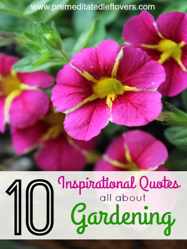 10 Inspirational Quotes All About Gardening- Find inspiration to get out and grow something with these lovely gardening quotes by various authors. 