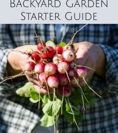 The Ultimate Backyard Garden Starter Guide- This collection of gardening articles will give you everything you need to grow a healthy and productive garden.