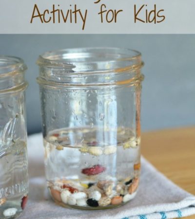 Bouncing Beans Activity for Kids- Make a jar full of bouncing beans with this easy tutorial. It is a fun and education activity for kids of all ages!