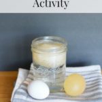 Disappearing Egg Activity for Kids- This egg experiment is a great letter "E" activity for preschoolers and fun science activity for older kids!