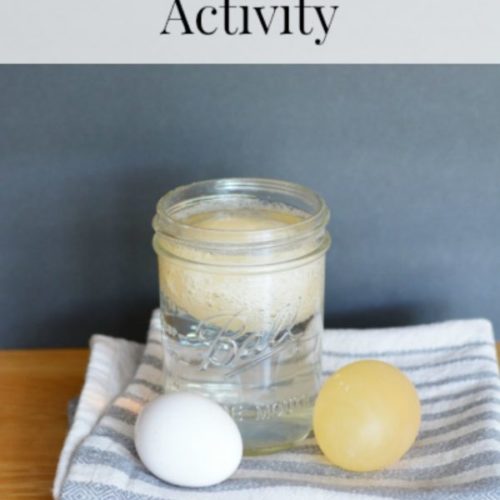 Disappearing Eggshell Activity for Kids - A fun science experiment for ...