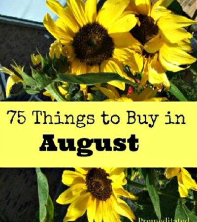 What to Buy in August - A list of items that will be on sale or marked down for clearance in August so you can save money on the items you need.