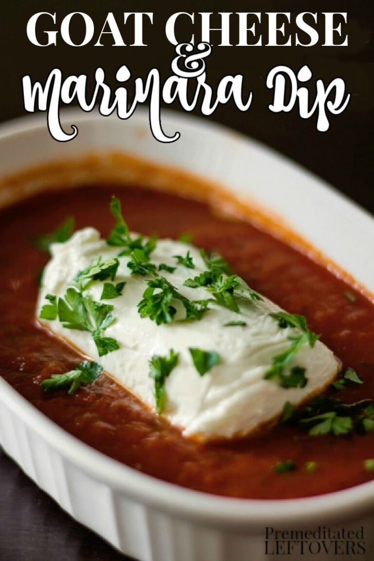 Baked Goat Cheese Marinara Dip Recipe - A easy appetizer recipe!