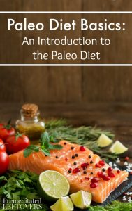 Paleo Diet Basics: An Introduction to the Paleo Diet