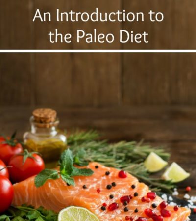 Paleo Diet Basics: An Introduction to the Paleo Diet- Learn all about the Paleo Diet as well as which foods are included in this healthy eating lifestyle.