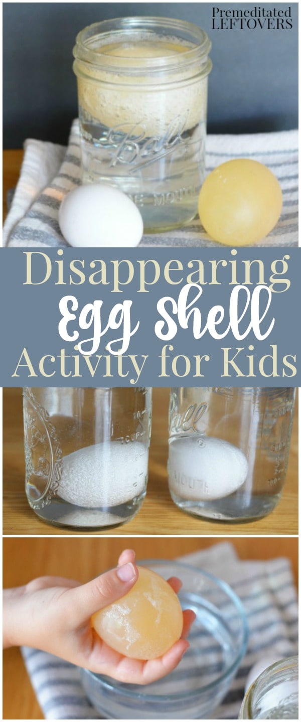 Disappearing Eggshell Activity for Kids - A fun science experiment for