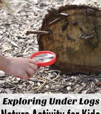Kids can be detectives with this Exploring Under Logs Nature Activity. It's a fascinating way for them to take a closer look at insects and ecosystems.