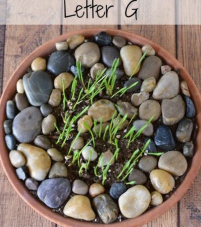 Letter G Project: Growing Grass with Kids- Kids will learn about the letter G and enjoy watching their own grass grow from seeds with this exciting project!