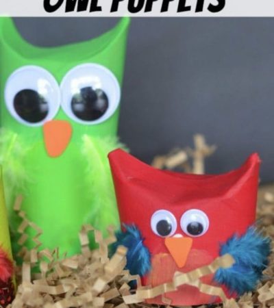 These Toilet Paper Roll Owl Puppets are an easy craft for young kids learning the letter O. Older kids can use these cute finger puppets to put on a play.