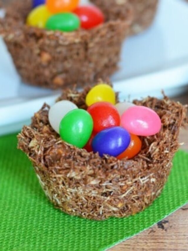 Creative Edible Bird Nests Story