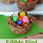 These Edible Bird Nests are a perfect no-bake recipe to make with kids. They can be used as a teaching tool for the letter N or a unit study on birds!