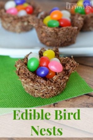 These Edible Bird Nests are a perfect no-bake recipe to make with kids. They can be used as a teaching tool for the letter N or a unit study on birds!