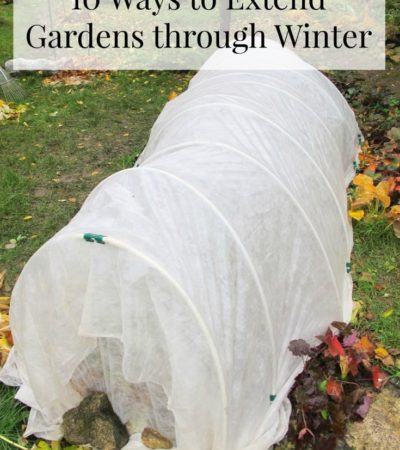 How to Extend Gardening with Cold Frames and Cloches