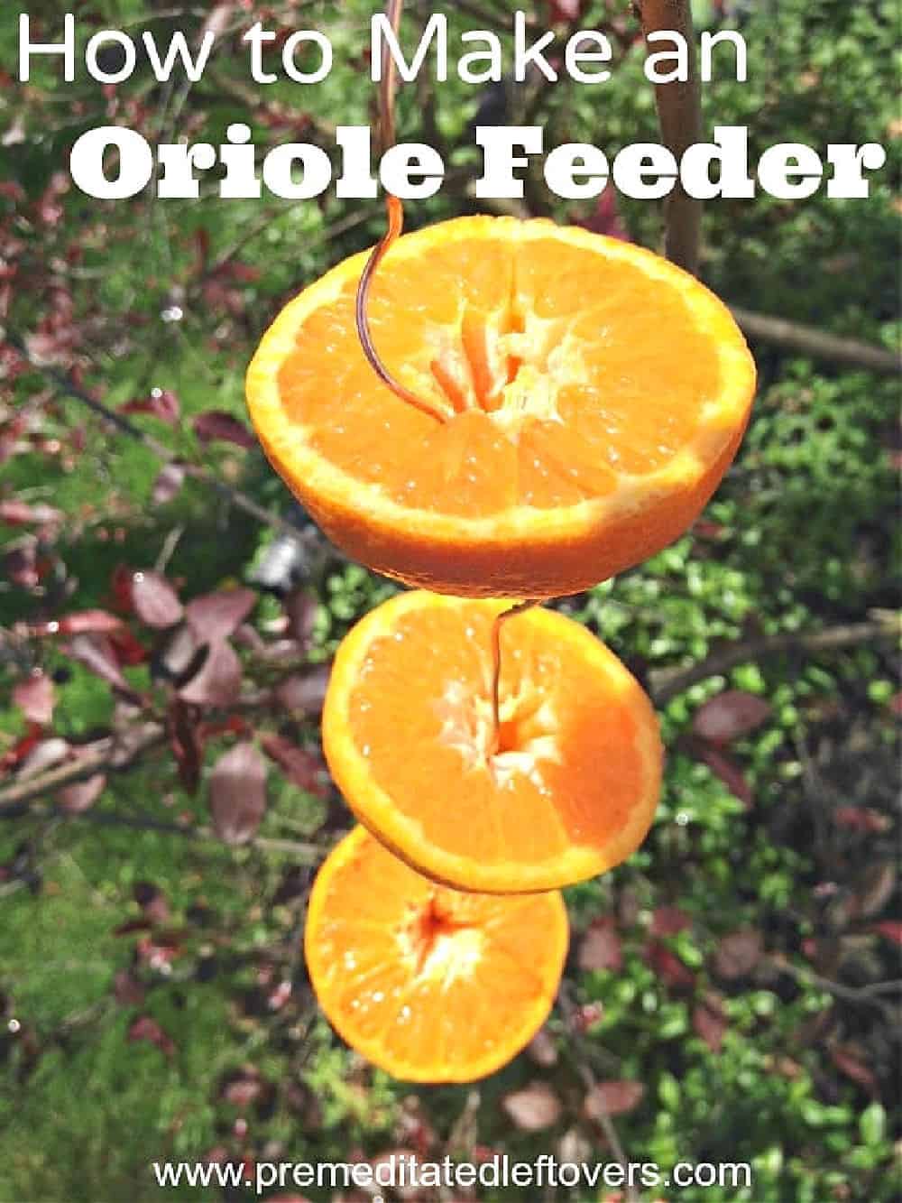 DIY Oriole Bird Feeder made from oranges and wire