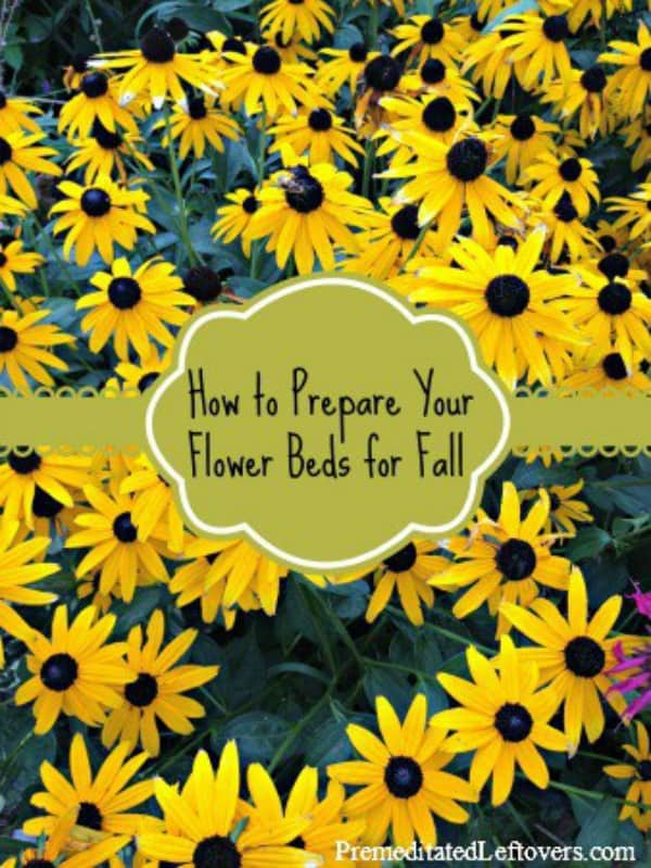 How to Prepare Your Flower Gardens for Fall - useful fall gardening tips