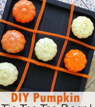 In the mood for a game of tic tac toe? This DIY Pumpkin Tic Tac Toe Board is an easy fall craft for kids. Grab a few inexpensive materials and get playing!