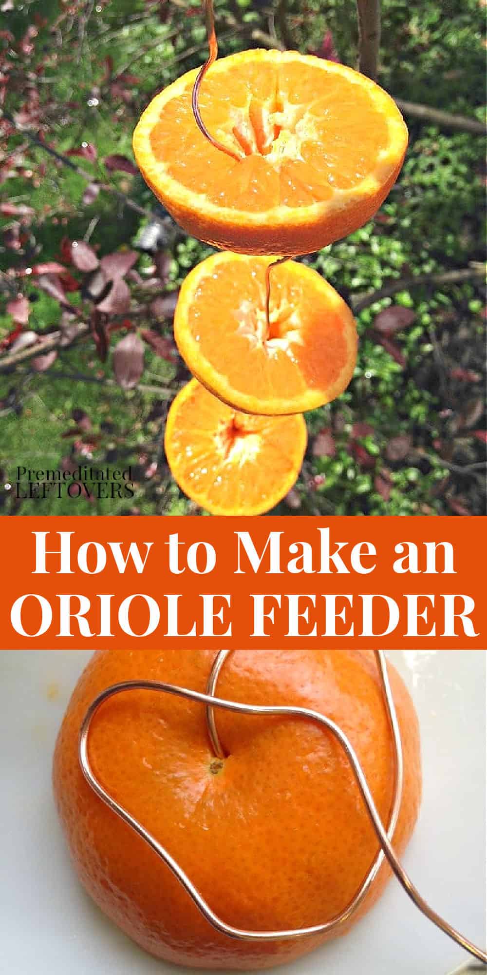 How to Make an Oriole Bird Feeder Using Oranges and Wire