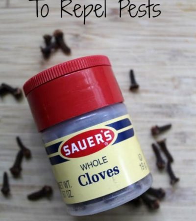 Clove is a natural option for keeping common pests away from your home and yard. These 5 tips on How to Use Cloves to Repel Pests will show you how!