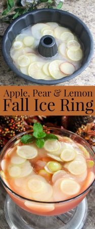 Apple, Pear, and Lemon Ice Ring Recipe - Perfect addition to Fall Punch
