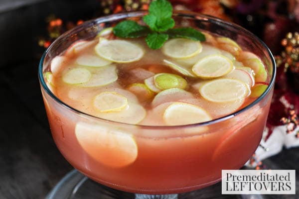 Keep this Fall Spiced Cider Punch recipe on hand for holiday parties. It's loaded with fruit and spices your guests will in enjoy in every sip. 