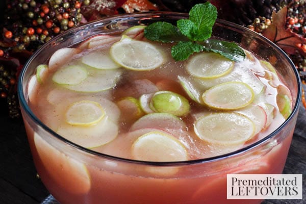 Fall Spiced Cider Punch- punch with ice ring