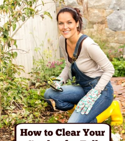 Now is the time to clean out your gardening beds and prepare them for the cold months ahead. To do so, use these tips on How to Clear Your Garden for Fall.
