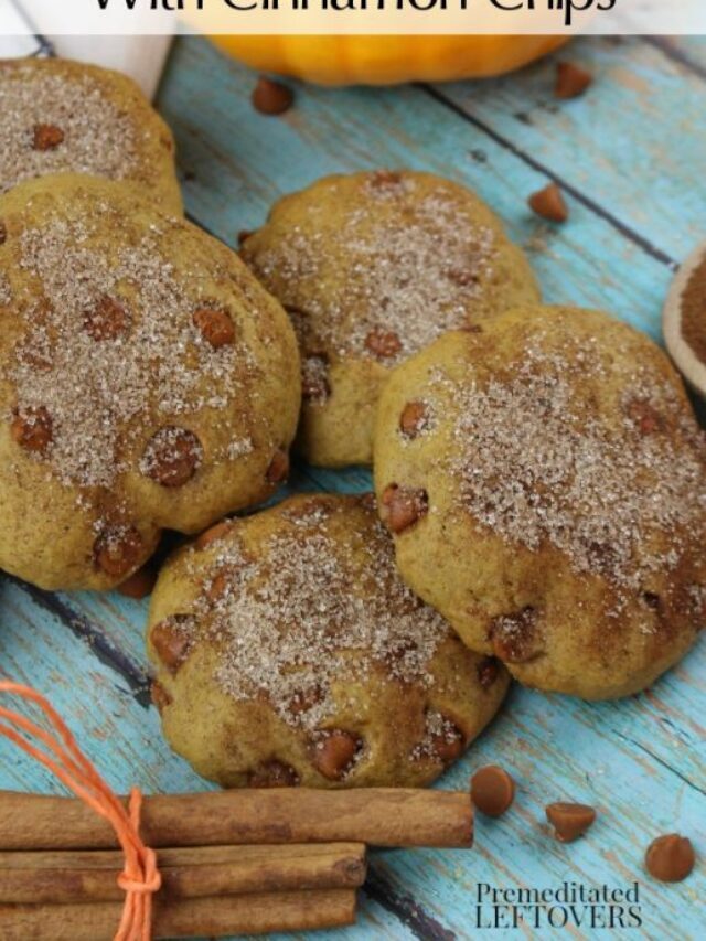 Pumpkin Snickerdoodles Recipe with Cinnamon Chips – Story