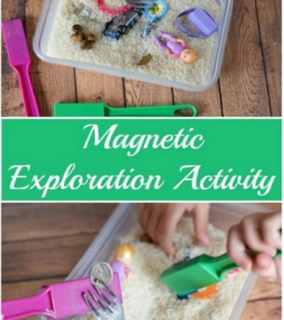 Not only are magnets fun, they can also be quite educational. This Magnet Science Activity for Kids is a great learning tool for children of all ages.