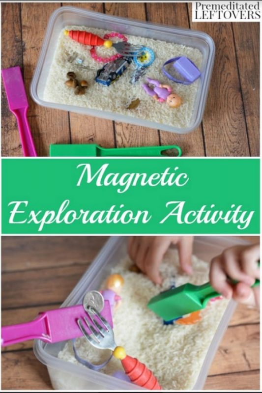 Magnet Science Activity for Kids