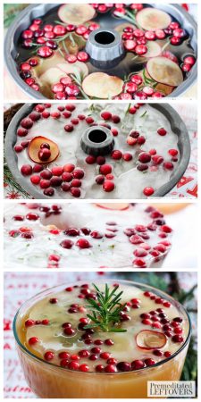 How to create the ultimate Ice Ring for your Holiday Punch- Cranberry & Sugar Plum Ice Ring