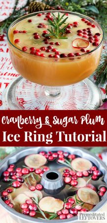 Cranberry and Sugar Plum Ice Ring Recipe and Tutorial