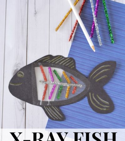 X-Ray Fish Craft Activity for Kids