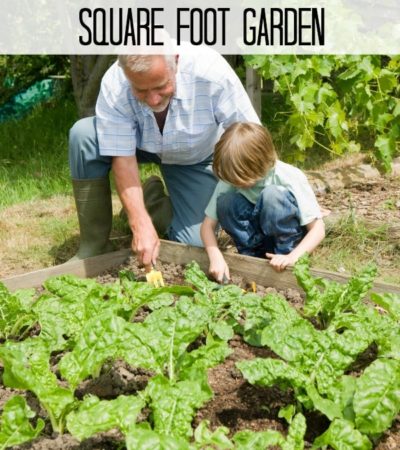 Get a jumpstart on your garden planning this year with these Ways to Mark Your Square Foot Garden. They include great plant marking and garden design ideas!