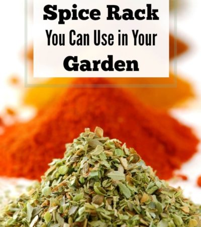 Here are 6 Items from Your Spice Rack You Can Use in Your Garden for pest control, natural weed killer, and more. Give them a try in your garden this year!