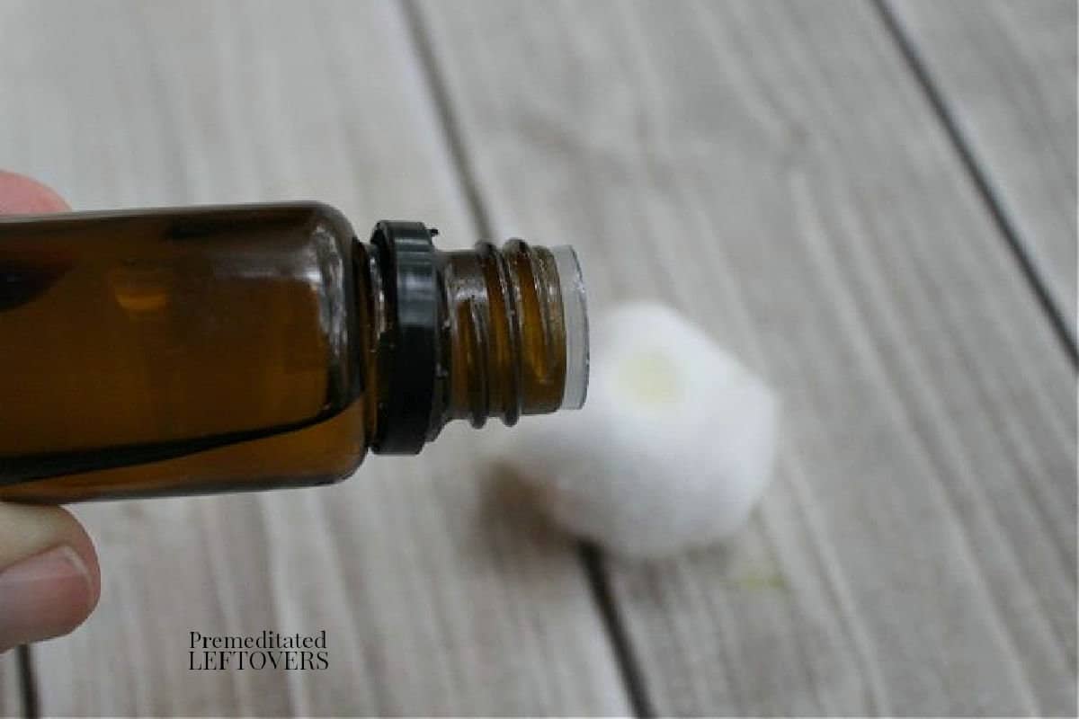 cedarwood essential oil for natural moth repellant