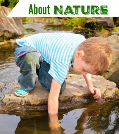 Kids are naturally curious, so getting them engaged in nature is easy. Explore the outdoors together with these 5 Activities to Teach Kids About Nature.