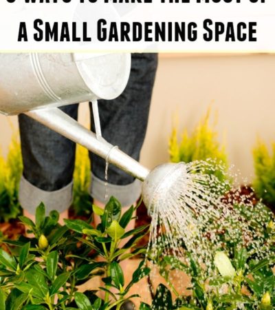 Even the smallest of yards can produce amazing gardening results. Learn how with these 6 Ways to Make the Most of a Small Gardening Space.