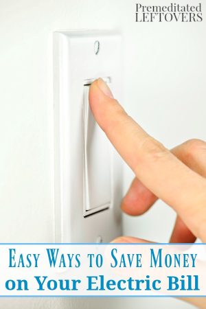 Easy Ways to Save Money on Your Electric Bill - Premeditated Leftovers™