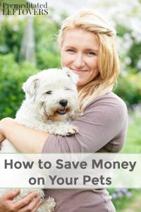 How To Save Money On Your Pets