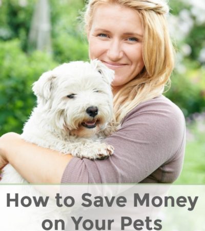 Between pet food, vet care, and other expenses, owning pets can end up costing quite a bit. Here are some key tips on How to Save Money on Your Pets.