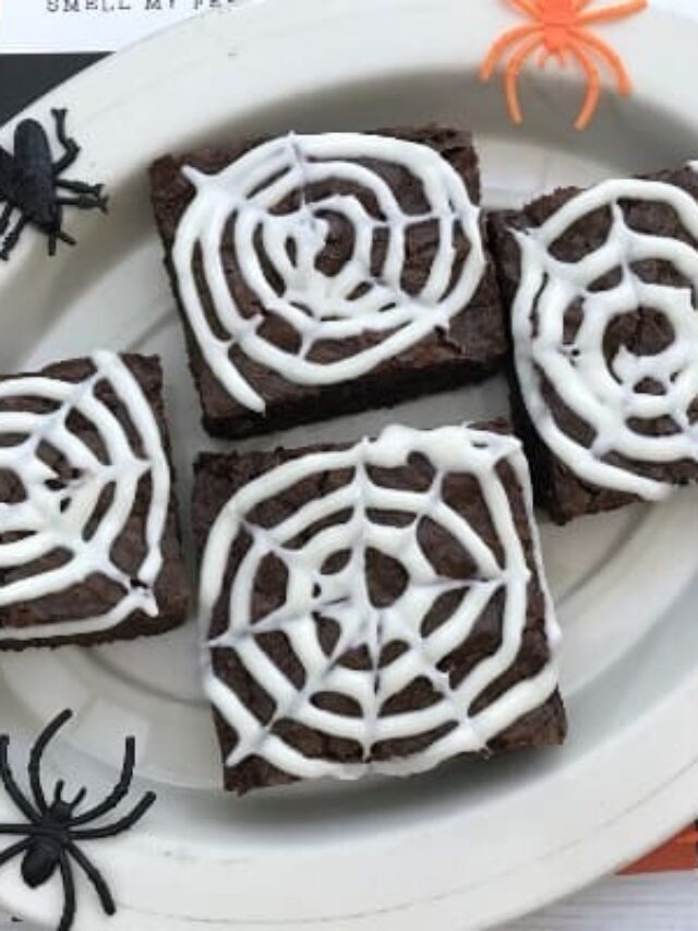 Gooey Spider Web Brownies Story