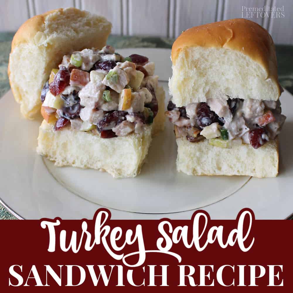 Turkey Salad Sandwiches Recipe with Apple and Cranberries