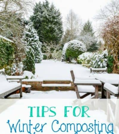 Tips for Winter Composting - How to keep your compost pile active during the winter months.