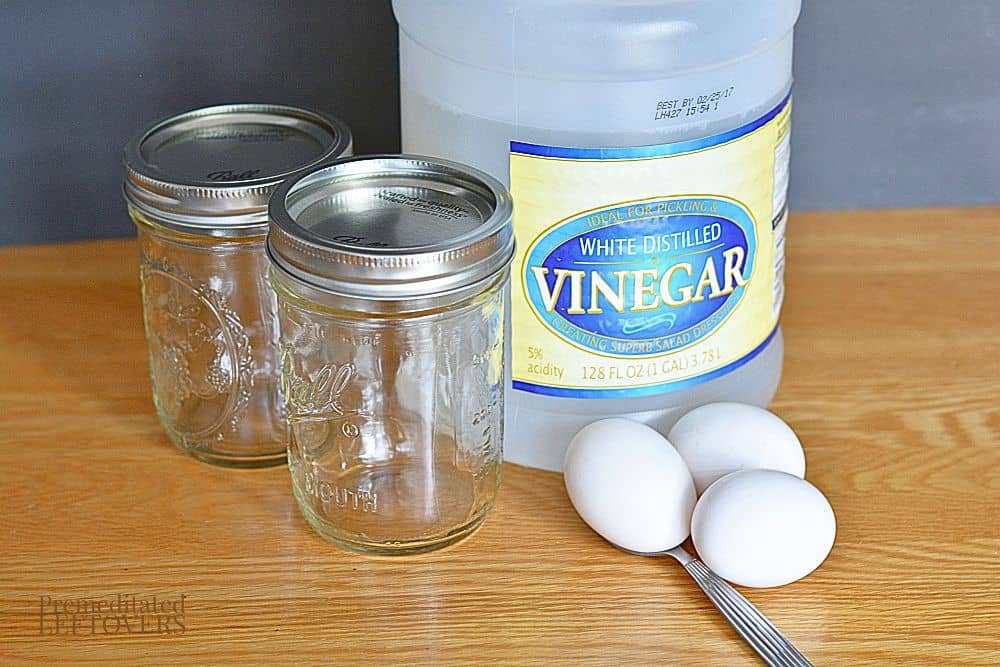 Materials needed: vinegar, eggs, 16 oz mason jars.