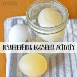 Disappearing Egg Activity for Kids- This egg experiment is a great letter "E" activity for preschoolers and fun science activity for older kids!
